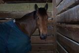 Picture 0276