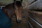 Picture 0277