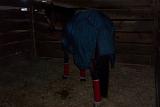Picture 0279