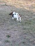 20141026 180001