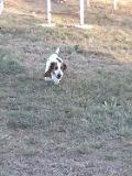 20141026 180016