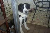 Picture 0430