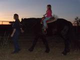 DSCN0265
