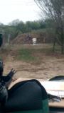 VIDEO0008