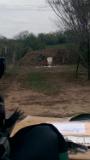 VIDEO0009