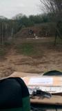 VIDEO0010