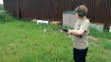 VIDEO0097