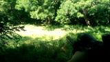 VIDEO0254