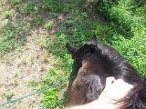 IMG 20120714 105741