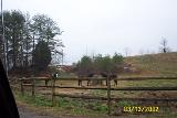 Picture 0157