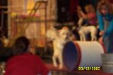 Picture 0167