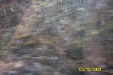 Picture 0256