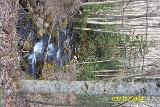 Picture 0261