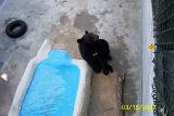 Picture 0266
