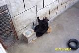Picture 0267