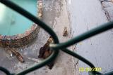 Picture 0270