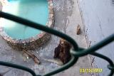 Picture 0271