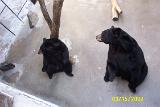 Picture 0272