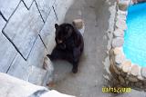 Picture 0274