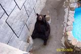 Picture 0275