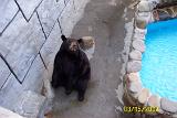 Picture 0276