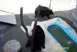 Picture 0277