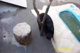 Picture 0278