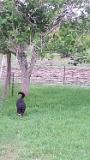20140527 192759