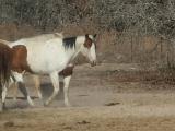 DSCN0205