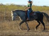 DSCN0239