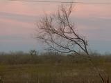 DSCN0254