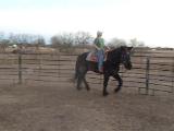 DSCN0256