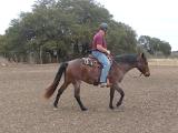 DSCN0304