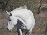 DSCN0416