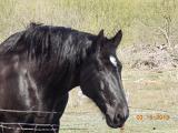 DSCN0424