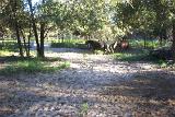 PictureA 0170