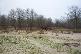 PictureA 0376