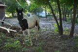 PictureD 0208