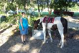 PictureD 0283