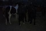 PictureE 0325