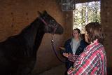 Picture 0004