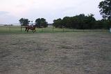 Picture 0008