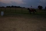 Picture 0011