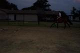Picture 0012
