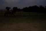 Picture 0013