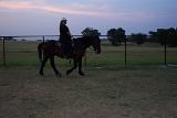 Picture 0016