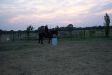 Picture 0017