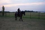 Picture 0018