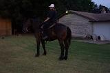Picture 0019