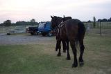 Picture 0020